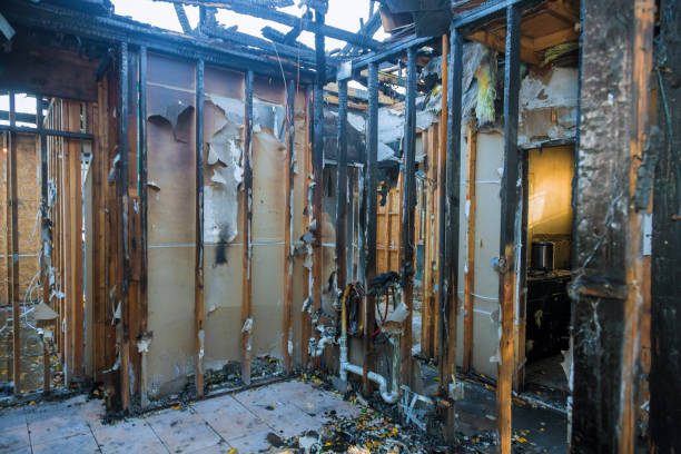 Professional Fire Damage Cleanup technician working in Cape Coral, FL